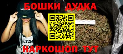 гидра Дубна