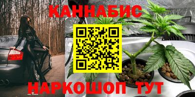 прущие крисы Донецк