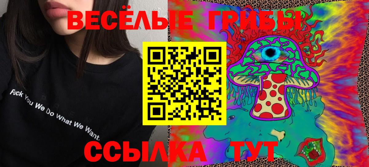 Геленджик  Псилоцибиновые грибы MAGIC MUSHROOMS  Вход с VPN 